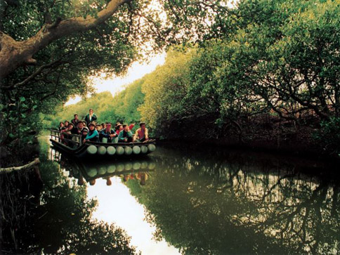 Sihcao Mangrove Nature Reserve